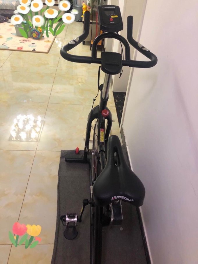 美国汉臣健身车