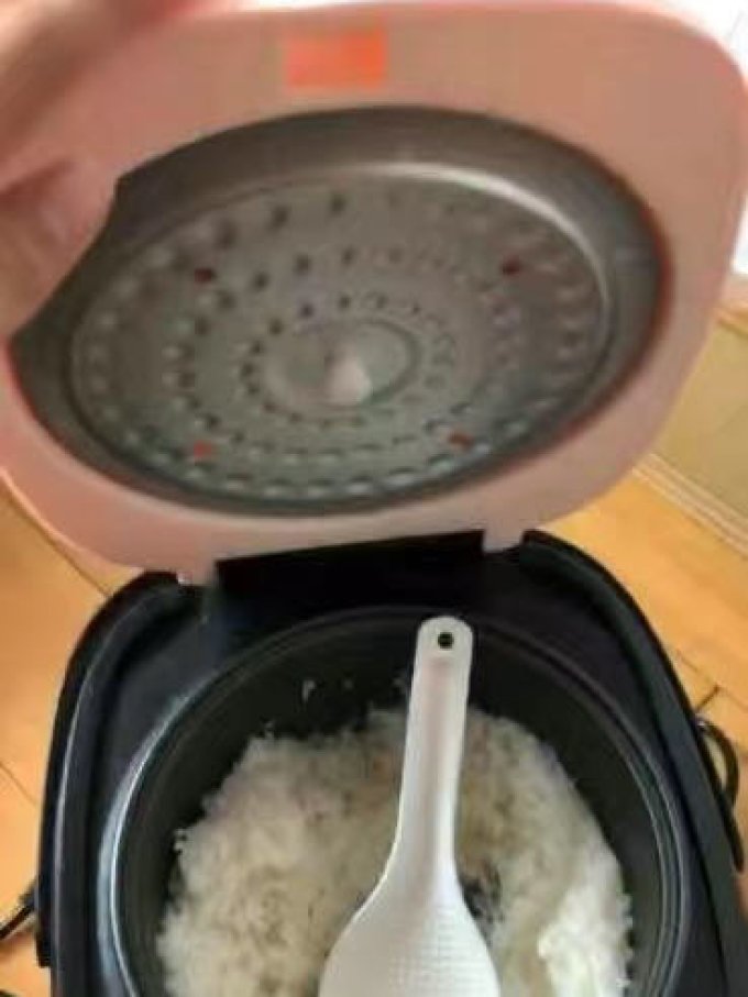 茁美电饭煲