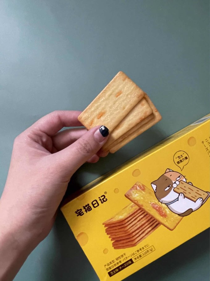 宅猫日记饼干