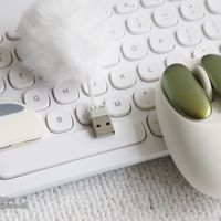给鼠标做个美甲吧！LOFREE洛斐小瓣鼠标体验记