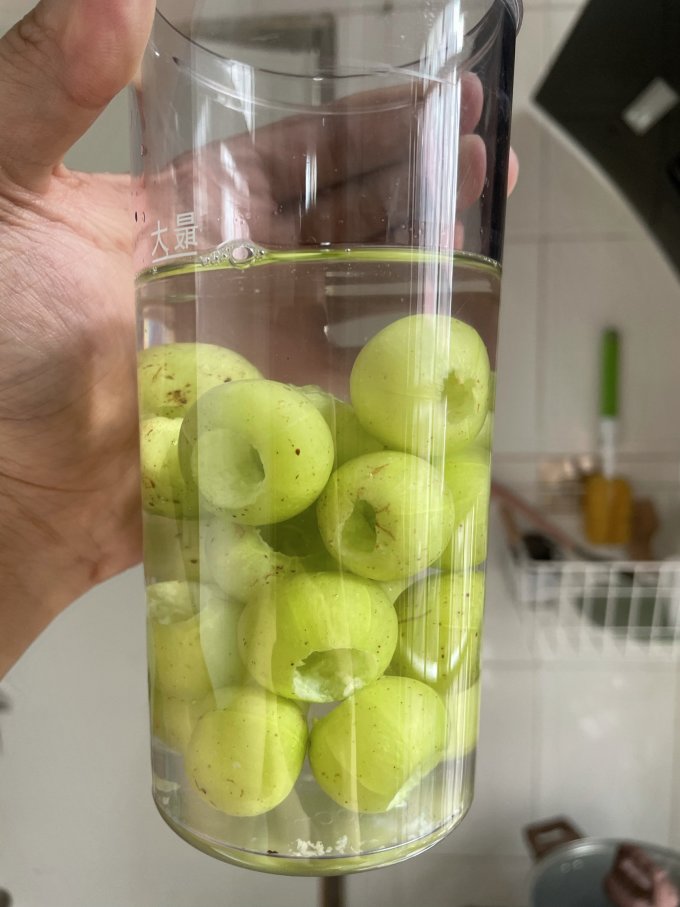 美的榨汁机