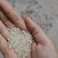 福临门大米真不错