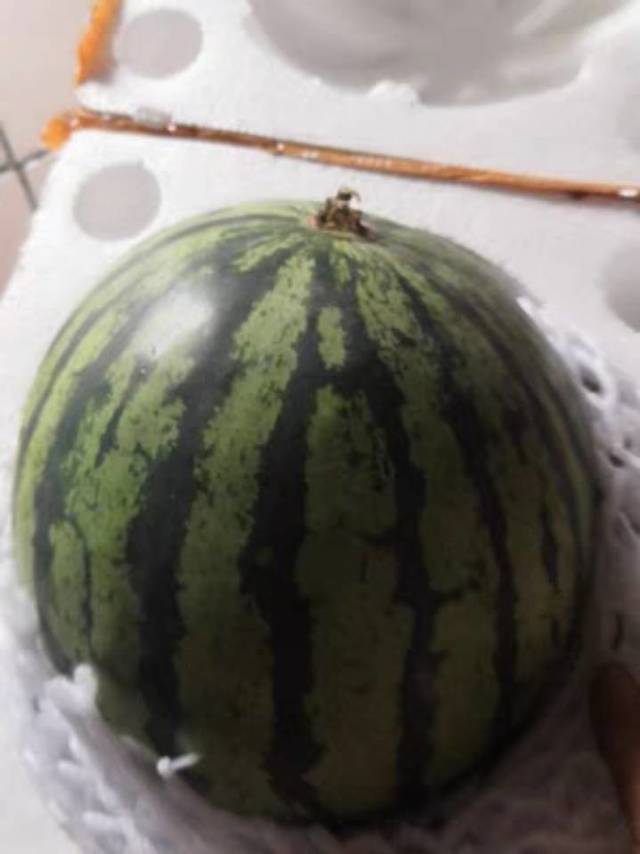 西瓜