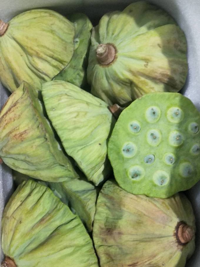 等待自然蔬菜