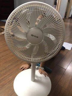 夏天就要一个给力的风扇。