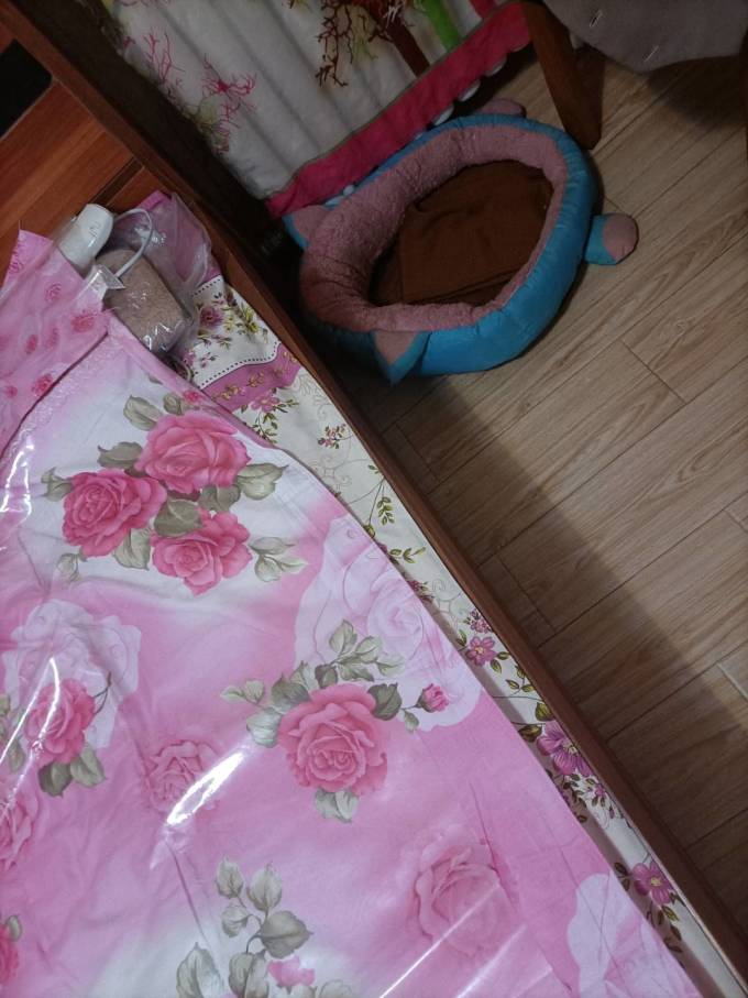 御宠坊猫狗窝