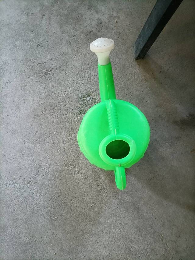 使用绿色浇水壶的体验
