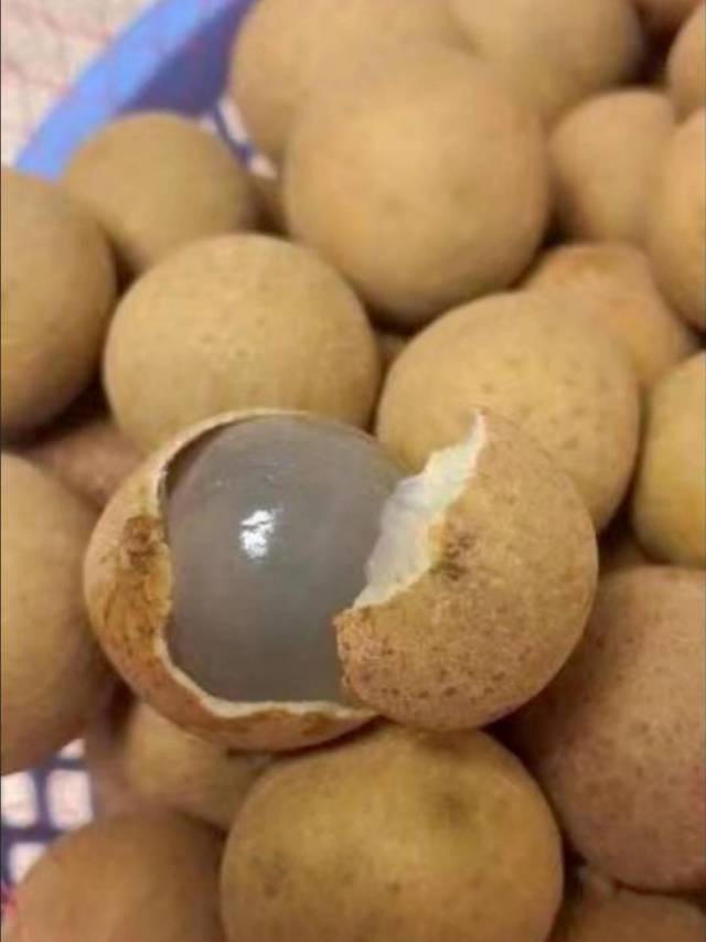 桂圆 