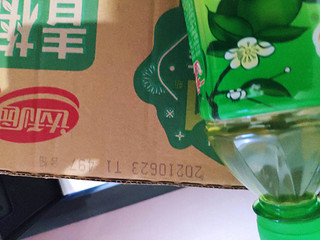 白菜达利园青梅绿茶