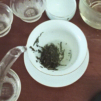 茶 篇十七：观察茶叶在盖碗里的翻腾旋转之白毫银针