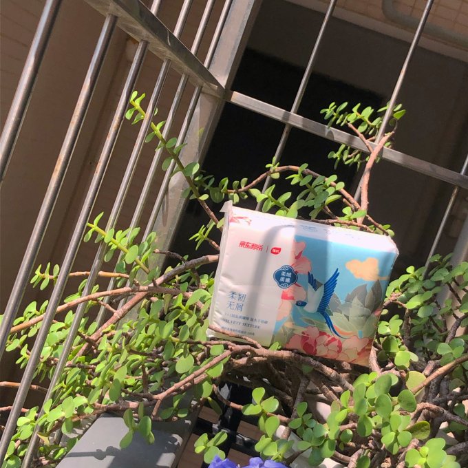 植护抽纸