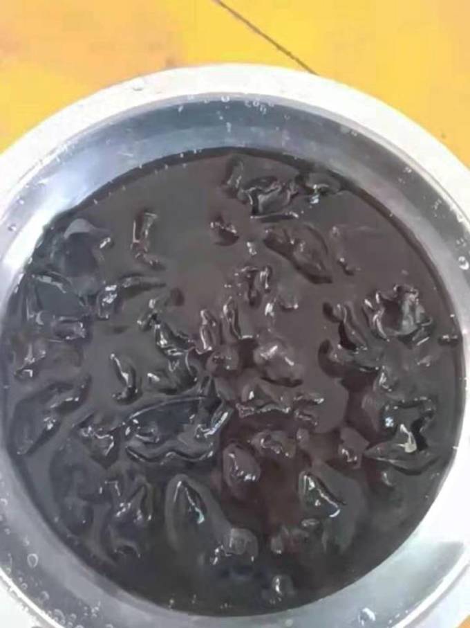 绿帝菌菇木耳