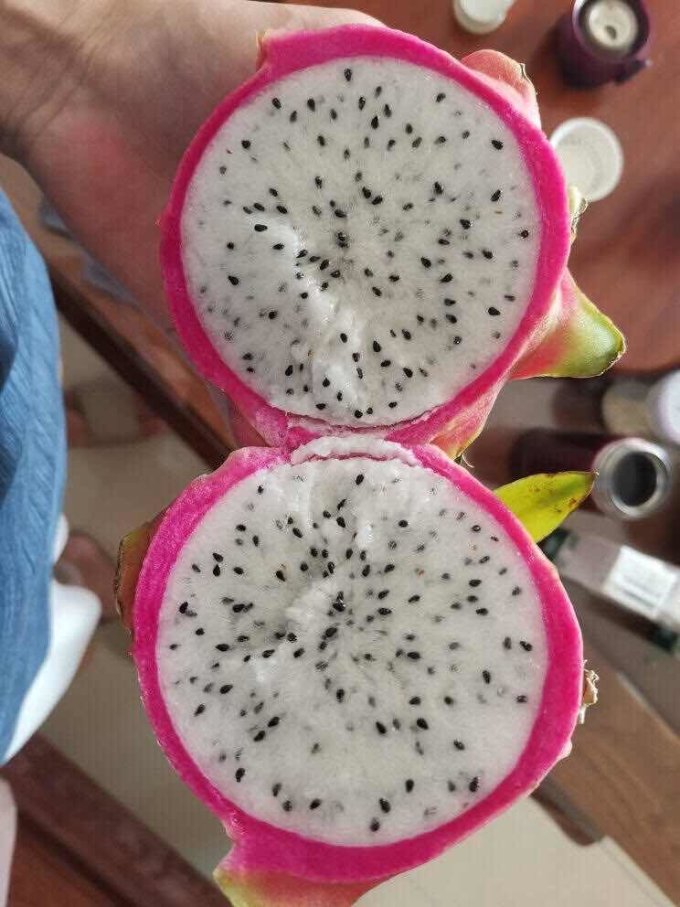佳农火龙果