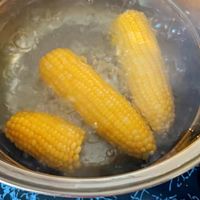 玉米