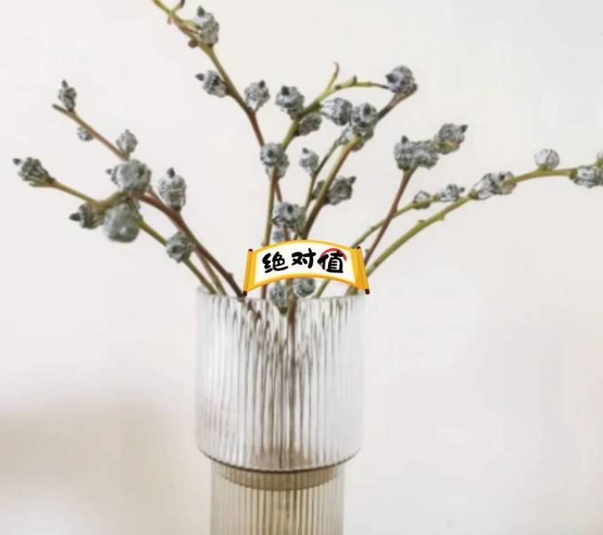 尤加利鲜花绿植