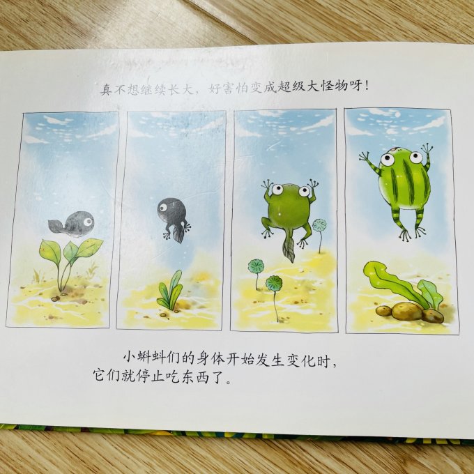 安徽少年儿童出版社绘本/图画书