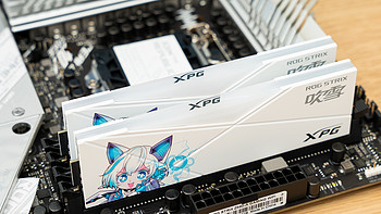 威刚 XPG 龙耀 D50 华硕吹雪联名内存 DDR4 3600MHz 8GB x 2 开箱分享