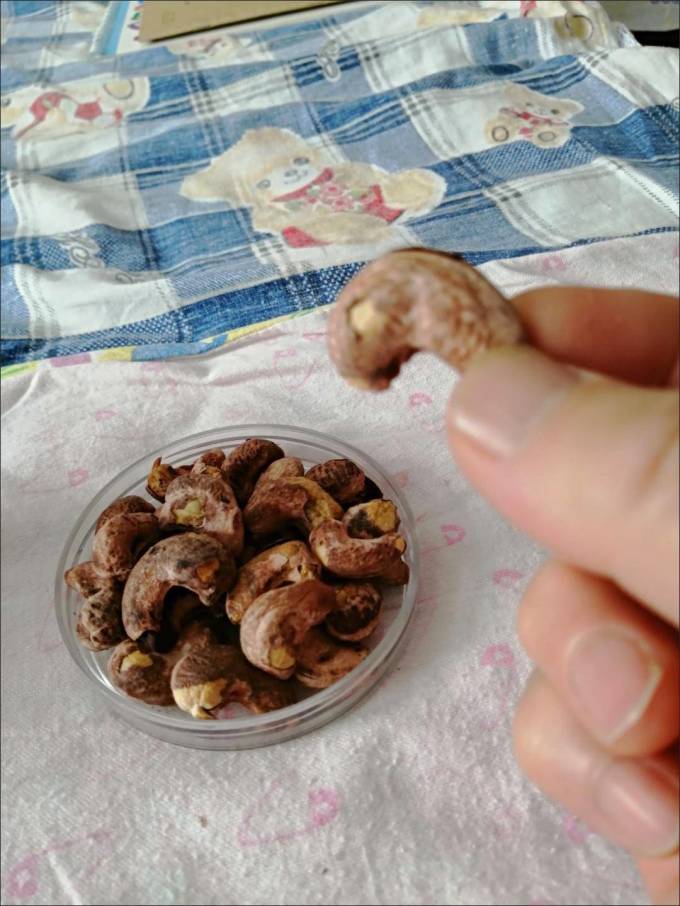 紫玉腰果