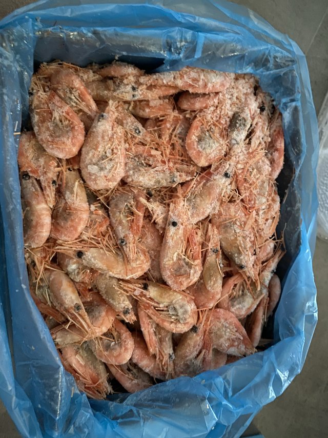 腹籽，基本每个都有，无黑头，个小
