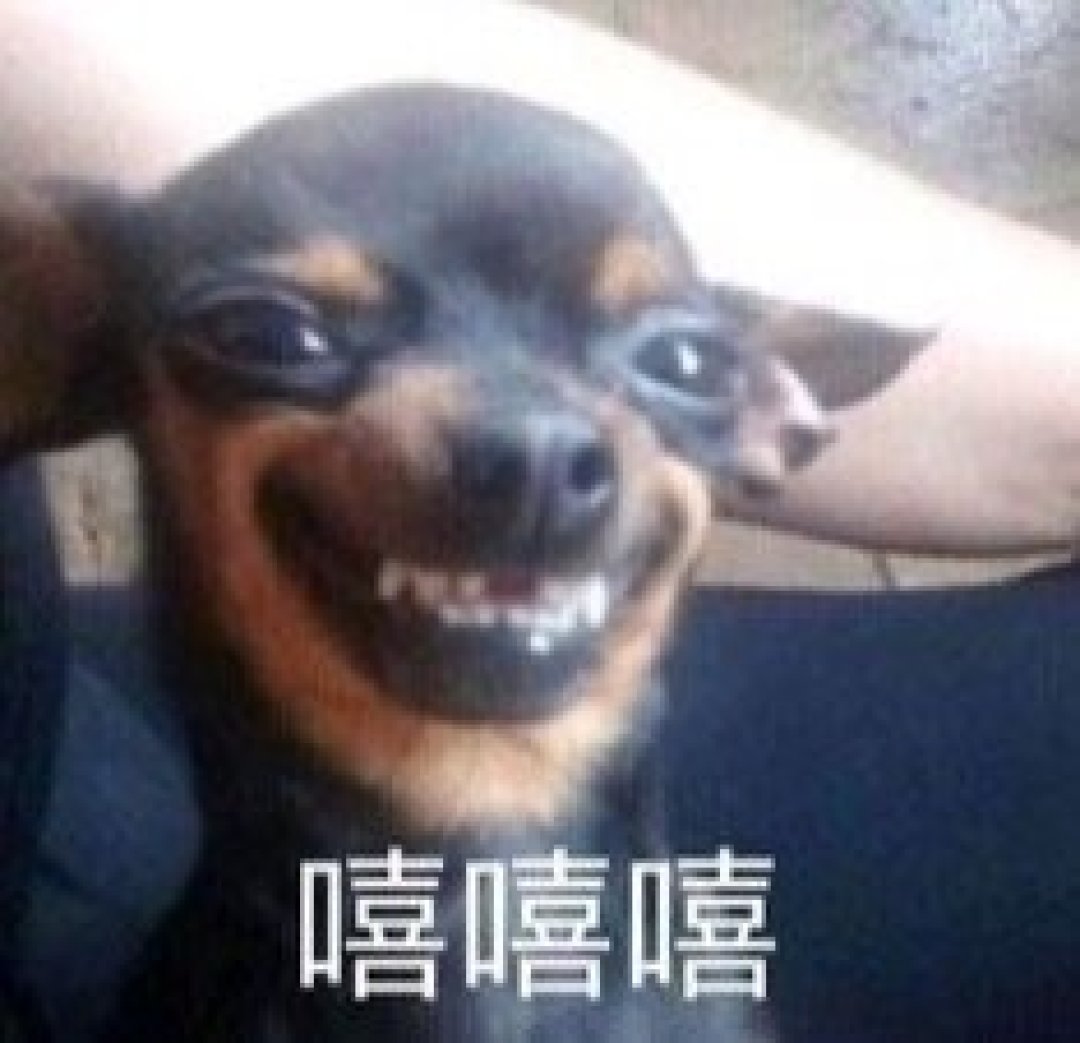 什么才是真正的有趣生活?即使暑期热爱宅家,这几件小事也可以让每一天有迹可寻~