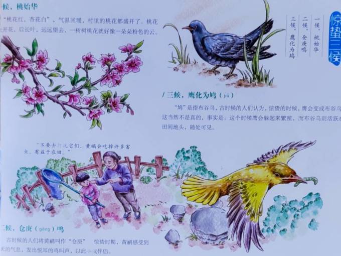 北方妇女儿童出版社绘本/图画书