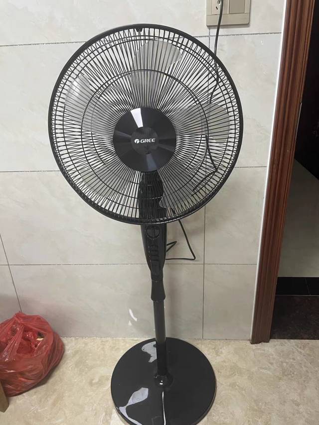 夏日必备