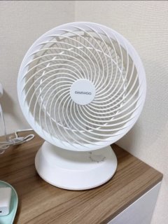 新入手的大宇空气循环扇