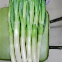 大葱