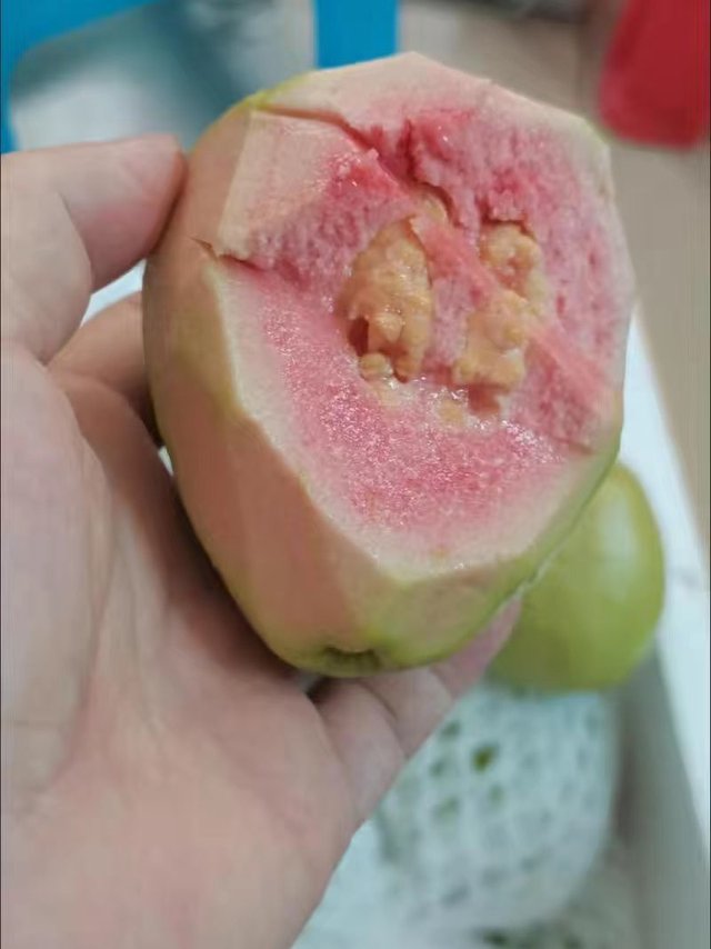 芭乐番石榴