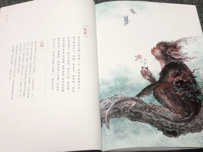 历史