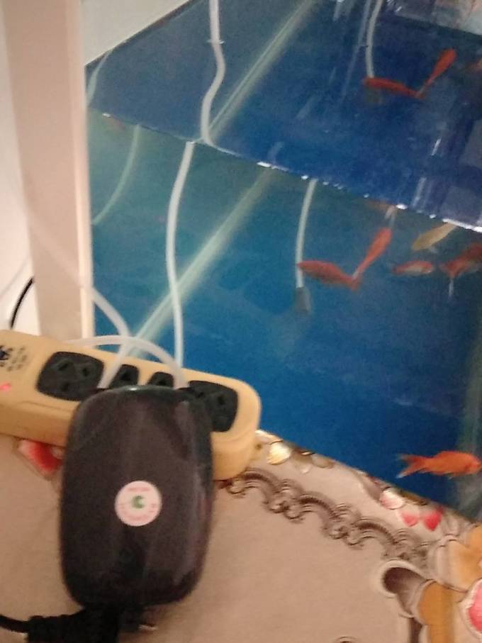 松宝水族设备