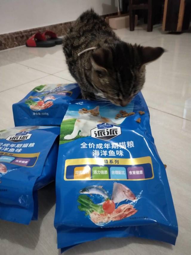 猫粮