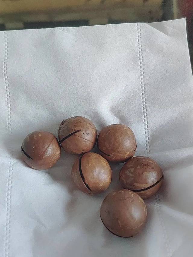 夏威夷果