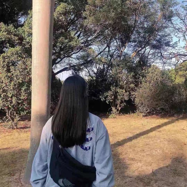 夹板