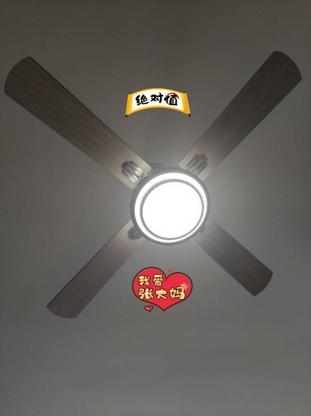 吊扇灯真的很好用