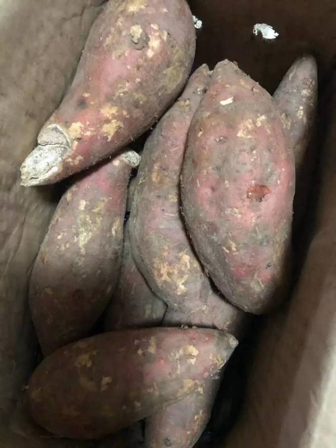 菓红蔬青蔬菜