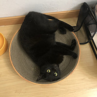 猫猫最爱的猫抓板