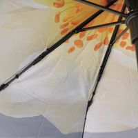 雨伞