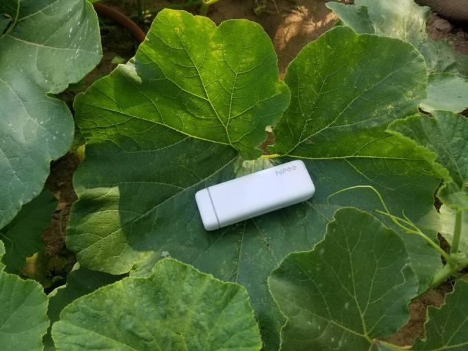果实健康医药箱