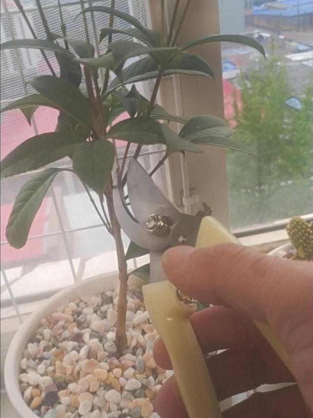 好用