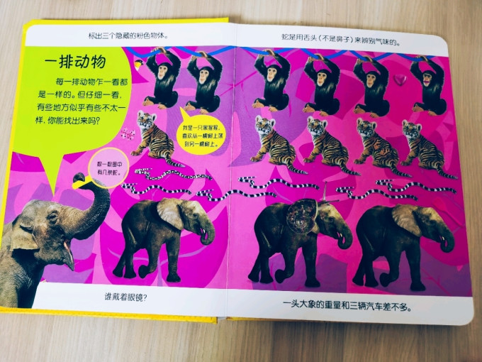 黑龙江少年儿童出版社绘本/图画书
