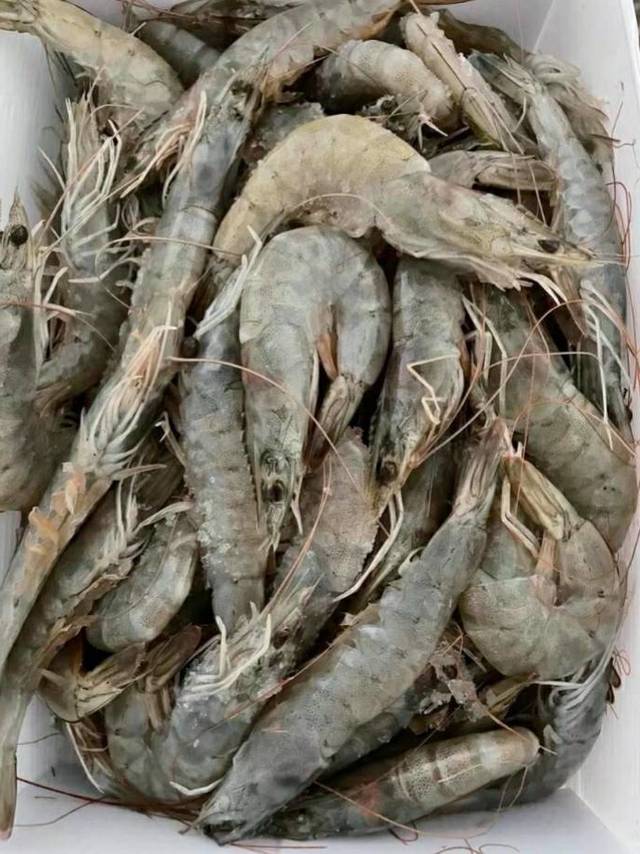 虾