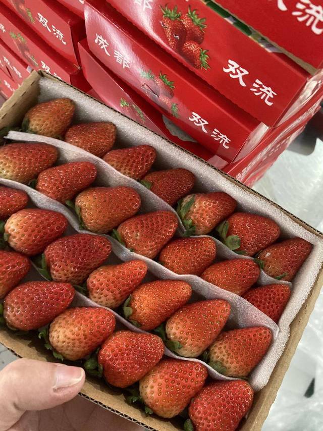 草莓
