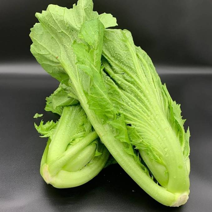 种子