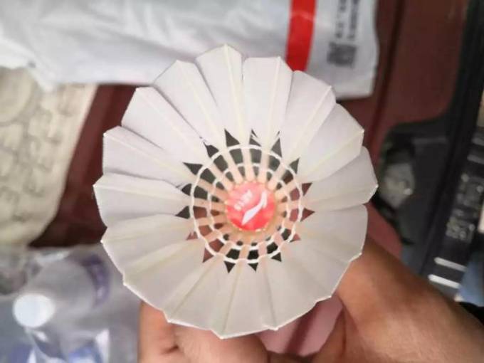 李宁羽毛球