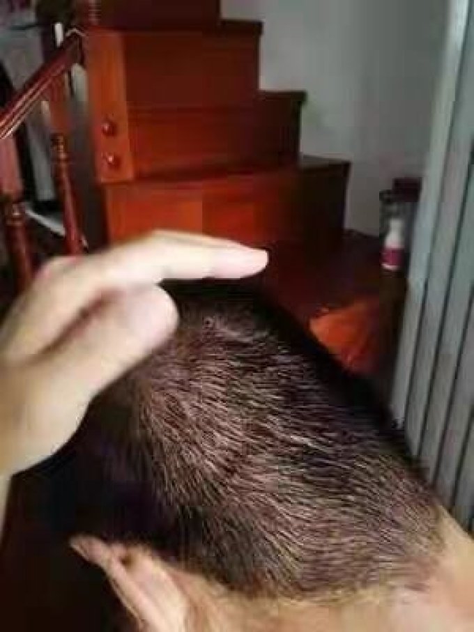 栢丝芬染发膏