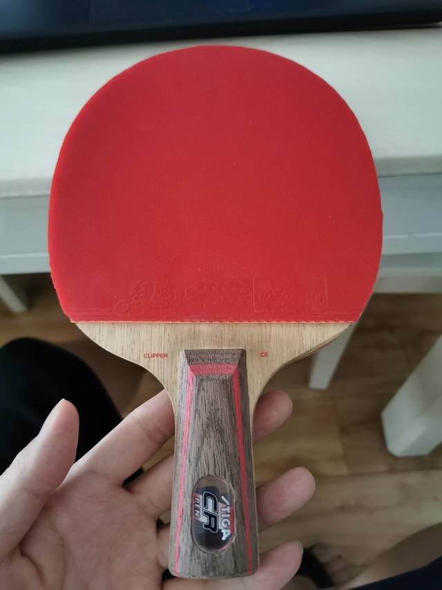 斯蒂卡乒乓球拍底板，助力小区乒乓联赛