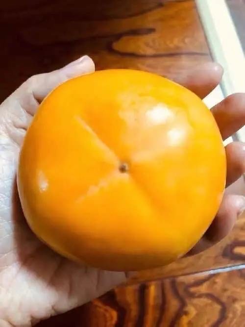 柿子