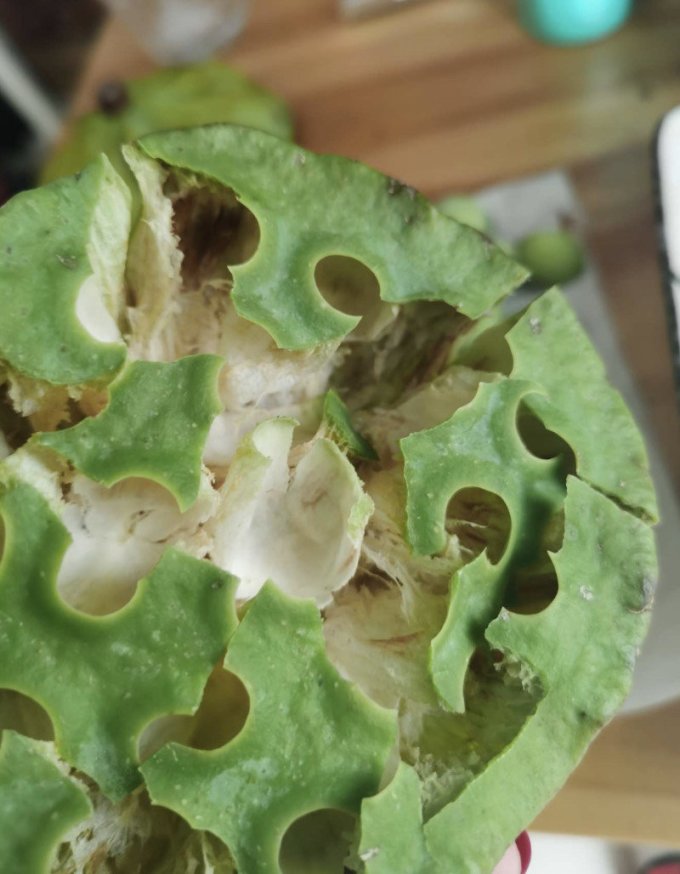 生鲜食品