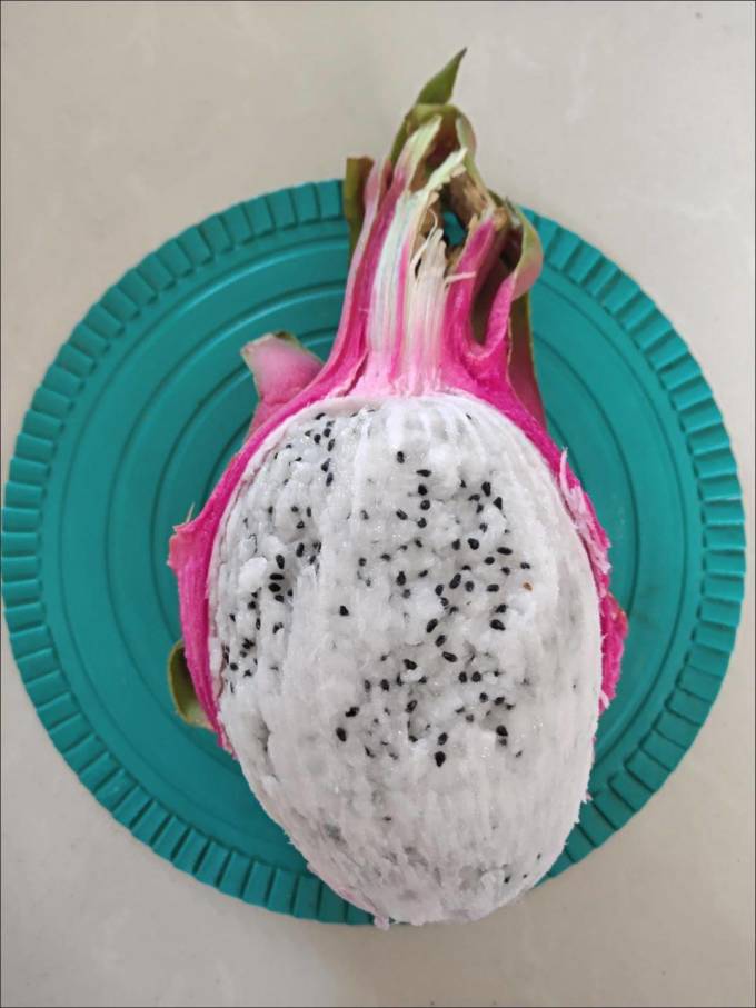佳农火龙果